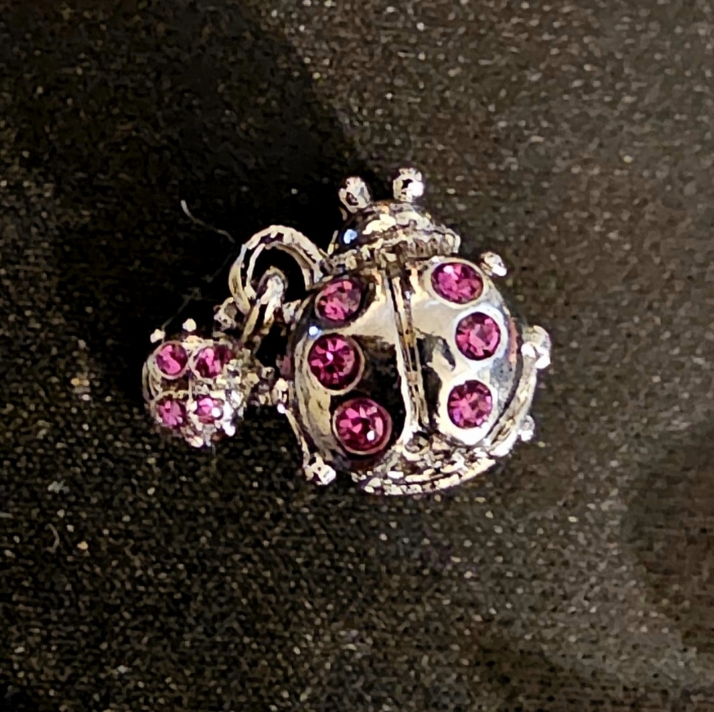 Pink Ladybug with Baby Pandora Style Charm